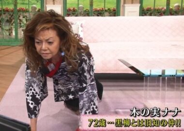 木の実ナナ体操徹子の部屋