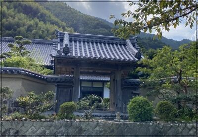 若林豪子供（息子）次男寺