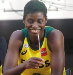 馬瓜エブリンENEOS