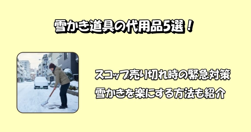雪かき代用品5選アイキャッチ